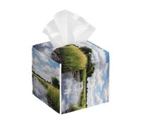 Reeds by The River Boîte à mouchoirs carrée élégante pour salon, chambre à coucher, bureau