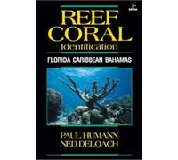 Reef Coral Identification: Florida Caribbean Bahamas