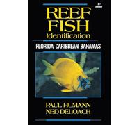Reef Fish Identification: Florida Caribbean Bahamas