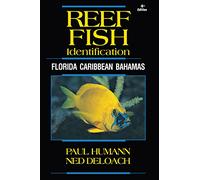 Reef Fish Identification: Florida Caribbean Bahamas