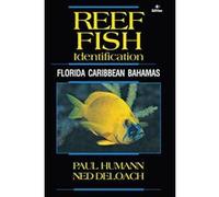 Reef Fish Identification: Florida Caribbean Bahamas (Reef Set) - [Version Originale] Inconnu (Auteur)