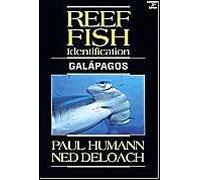 Reef Fish Identification Galapagos