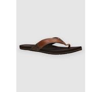 Reef Newport Sandales marron 12.0