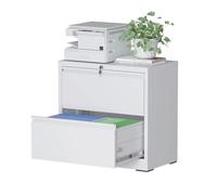 Reegangfa Armoire de classement latérale à 2 tiroirs en métal blanc robuste pour accrocher des fichiers de format lettre/légal/F4/A4, assemblage requis
