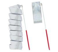 REEKNOKOL 2Pcs Ruban de Gymnastique, 78,7 Pouces Rubans de Danse pour Enfants Ruban de Gymnastique Rythmique Ruban de Danse pour Enfants Convient à la Gymnastique de Danse Artistique (Argent)