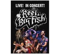 Reel Big Fish - Live In Concert [Import Anglais] (Import)