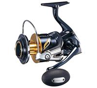 Reel Stella SW C 6000 XG
