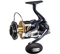 Reel Stella SW C 8000 HG