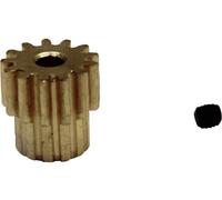 Reely 538517C Pièce de rechange Pignon moteur