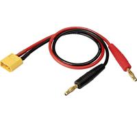 Reely Câble de charge [1x banane mâle 4 mm - 1x XT60 mâle] 30.00 cm RE-6799038