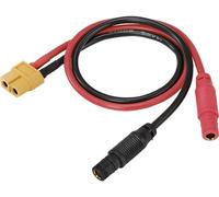 Reely Câble de charge [1x XT60 femelle - 2x banane femelle 4 mm] 30.00 cm RE-7104525