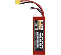 Reely Pack de batterie (LiPo) 11.1 V 5000 mAh Nombre de cellules: 3 40 C hardcase XT90