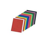 [Ref:10902583-12] HERLITZ Lot de 12 Chemises à Lamelle EASY ORGA Carton 240g