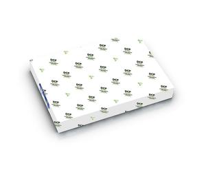 [Ref:50007SC] CLAIREFONTAINE [Ref:50007SC] CLAIREFONTAINE Ramette 250 Feuilles