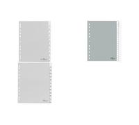 [Ref:6410-10] DURABLE 20 x chemise à clip en plastique, A4, PP, en 12, gris