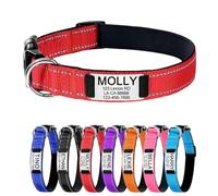 Réfléchissant Collier pour Chien Personnalisé avec Boucle en MéTal Gravée - Colliers pour Animaux de Compagnie Personnalisés avec nom et Numéro de Téléphone Tailles Réglables (Rouge S)