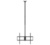 Reflecta PALLAS 100-8060T Support TV pour plafond 127,0 cm (50) - 254,0 cm
