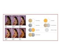 Réflecteur pliable Lastolite Panelite Blanc / Argent 120cm x 180cm