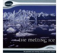 Reflection - The Melting Ice