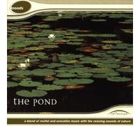 Reflection - The Pond
