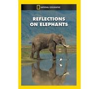 Reflections on Elephants /