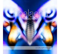 Reflections. Transcriptions pour Harpe, Violon et accordéon. Ensemble Phalaena.