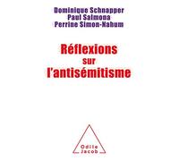 Dominique Schnapper – Réflexions sur l'antisémitisme – broché