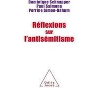 Dominique Schnapper – Réflexions sur l'antisémitisme – broché