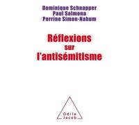 Dominique Schnapper – Réflexions sur l'antisémitisme – broché