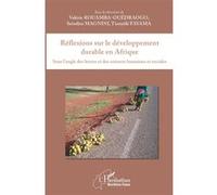 Réflexions sur le développement durable en Afrique Bowendsom Claudine Valérie Rouamba-Ouedraogo (Auteur), Seindira Magnini (Auteur), Tionyélé Fayama (Auteur)