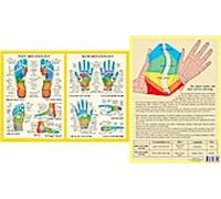 Réflexologie des mains et des pieds