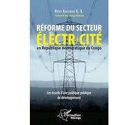 Réforme du secteur de l'électricité en RDC – Les écueils d'une politique publique de développement