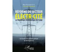 Réforme du secteur de l'électricité en RDC – Les écueils d'une politique publique de développement