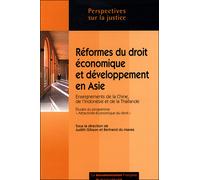 Réformes du droit économique et développement en Asie - Collectif - Documentation Francaise - broché - Etude