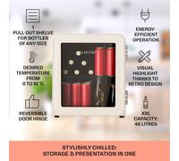Réfrigérateur à boissons PopLife 48 0-10°C design rétro E