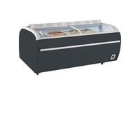Réfrigérateur congélateur de supermarché gris TWIN 220A CF