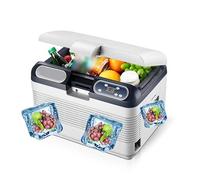 Réfrigérateur De Voiture 12L 70W Refroidisseur De Compresseur Portable Avec Affichage LED Refroidissement Et Réchauffement 2 Méthodes De Charge For Le Camping De Voyage ( Color : White-12L , Size : 24