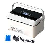 Réfrigérateur de voiture, mini-réfrigérateur à insuline portable avec poignée, réfrigérateur à température constante pour médicaments, pour voyage, bureau, 1 pile