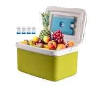 Réfrigérateur portable isolé rigide avec poignée pour déjeuner | Refroidissement Boissons de 15L pour Camping BBQ Pêche Déjeuner en plein air Excursion en bateau