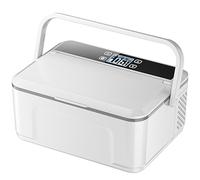 Réfrigérateur Portatif de Médecine d'insuline avec la Poignée, Trousse Medicaments Voyage de Refroidisseur de Caisse d'insuline de Double Couche de Capacité élevée de 2 ~ 8 ℃ ( Size : 13600mAh Battery