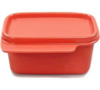 Réfrigérateur Tupperware 160 ml rouge vif Coin fraîcheur