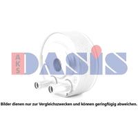 Refroiddiseur D'Huile Convient pour Nissan NP300 Navara Choisir/Châssis D40