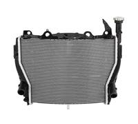 Refroidissement du radiateur de Moto pour BMW S1000RR 2009-2018 HP4 Race 2018