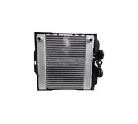 Refroidissement Moteur Radiateur de moteur avec support droit pour BMW Série 5 6 7 F07 F10 F01 F02 535i 640i 740i N55 17117802662 HANSBET Radiateur en pour