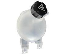 refroidissement Réservoir Compatible Avec Peugeot Pour 206 207 OEM: 1323T9 15280 481572 03781 8074 9800777280 Réservoir De Récupération De Liquide De Refroidissement Pour Radiateur(With wap)