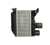 Refroidisseur d'air d'admission MAGNETI MARELLI 351319205310