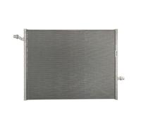 Refroidisseur d'air d'admission THERMOTEC DAM021TT