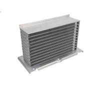 Refroidisseur d'air de suralimentatio THERMOTEC DAA021TT pour A3 (8P1) 1.2 2010-