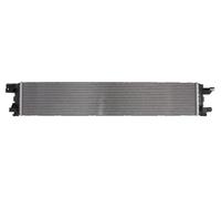 Radiateur basse température, intercooler THERMOTEC DAA031TT