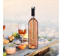 Refroidisseur de bouteille - cook concept - argent